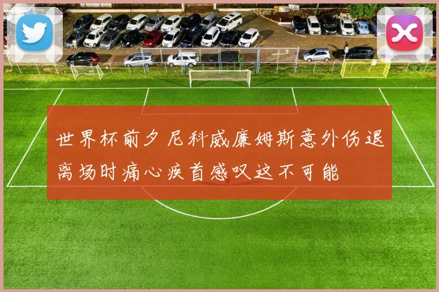 世界杯前夕尼科威廉姆斯意外伤退离场时痛心疾首感叹这不可能