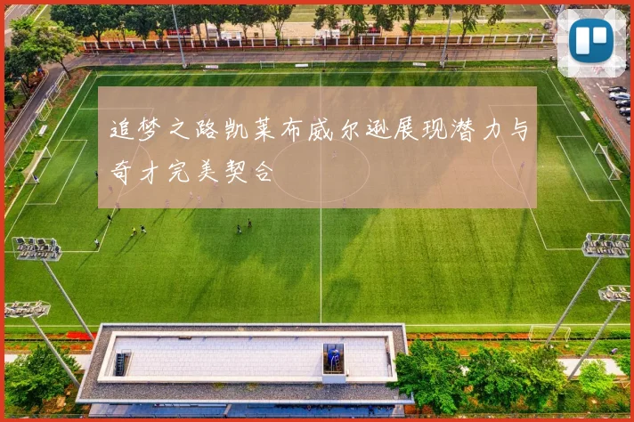 追梦之路凯莱布威尔逊展现潜力与奇才完美契合